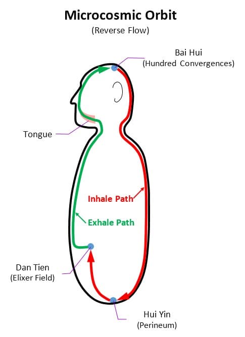 Microscopic Orbit - Reverse Flow